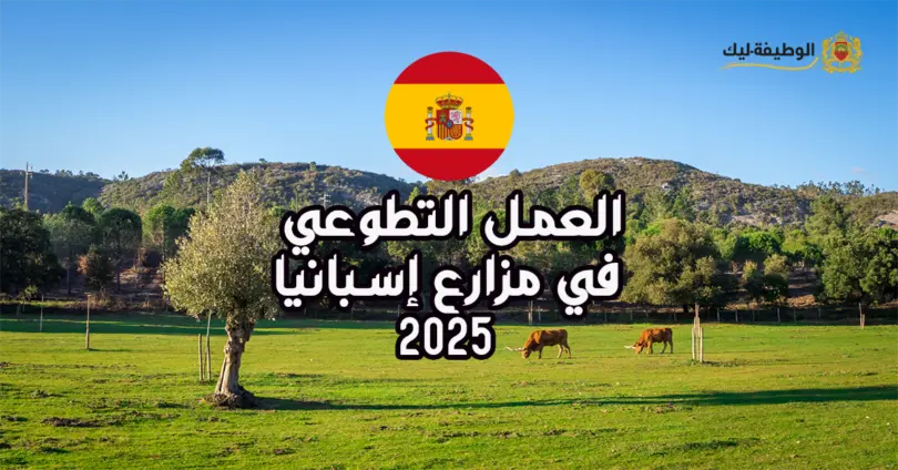العمل التطوعي في مزارع إسبانيا 2025