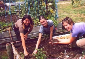 التطوع في مزارع عضوية عبر WWOOF