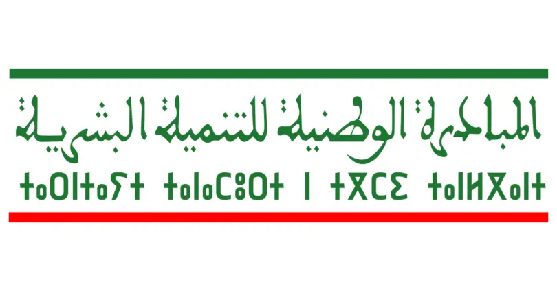 كيف أستفيذ من دعم المبادرة الوطنية 2025