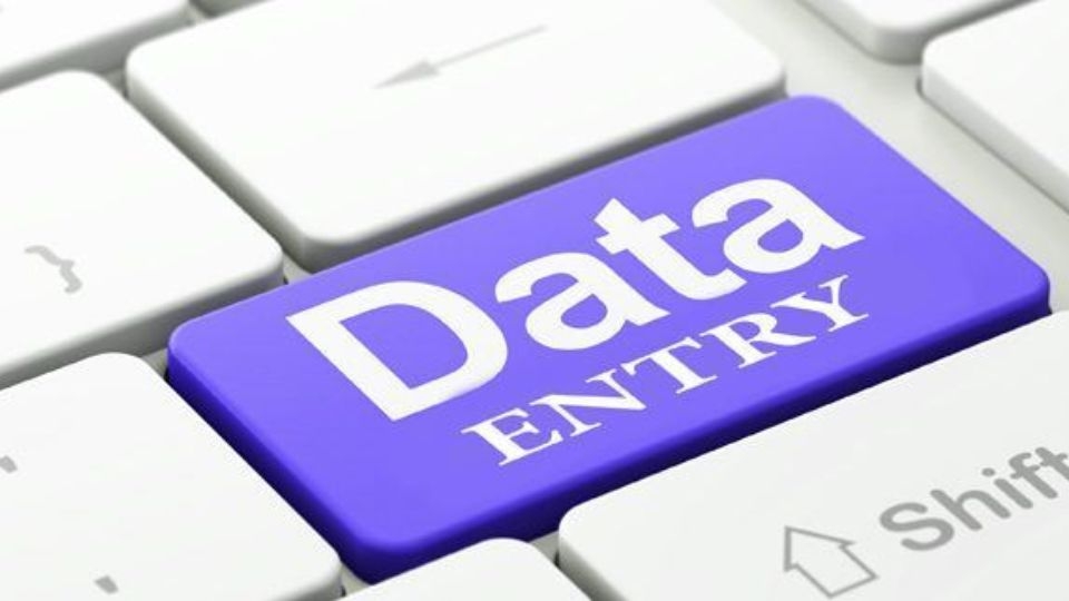مدخل بيانات (Data Entry)