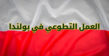 التطوع في بولندا 2025