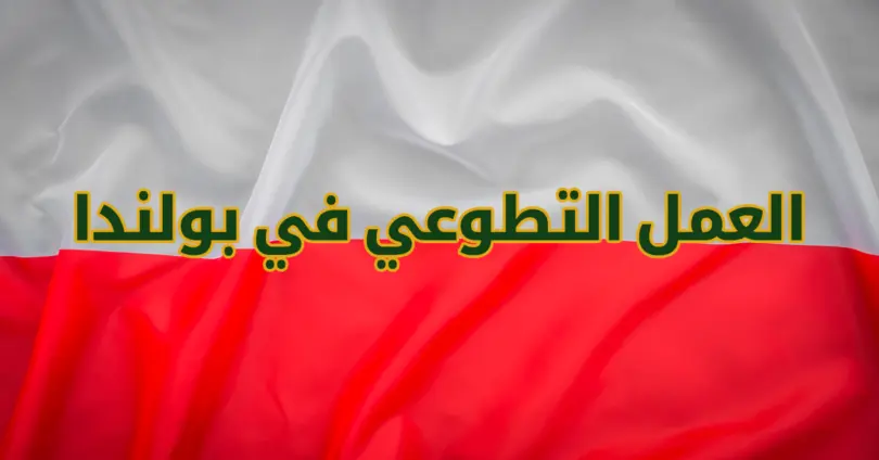 التطوع في بولندا 2025