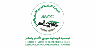 الأنوك ANOC مجال الإنتاج الحيواني